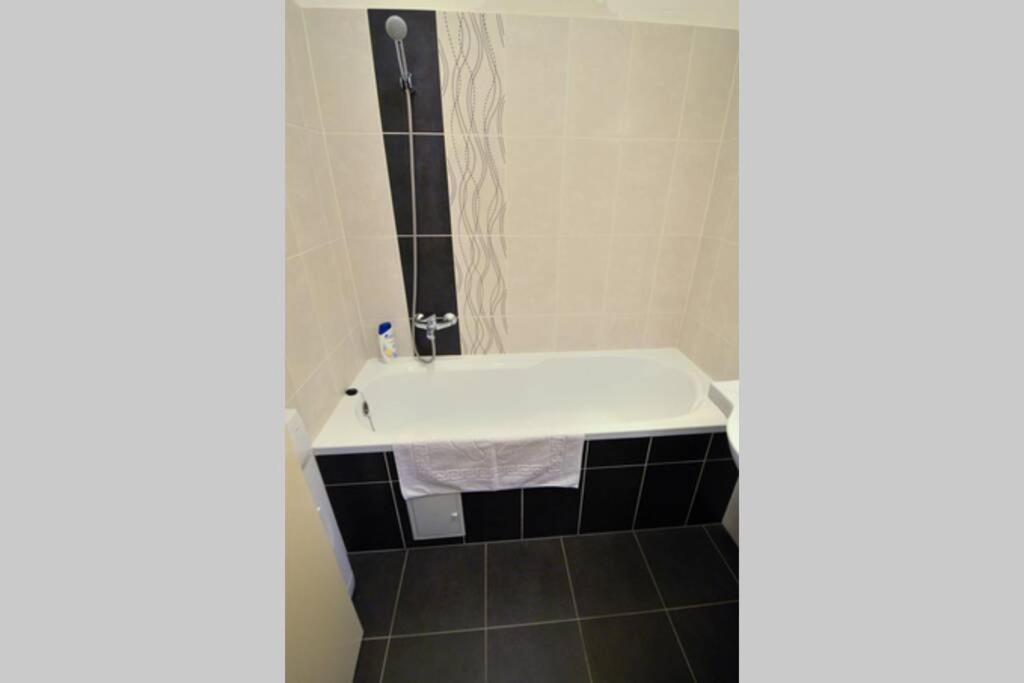 City Center Apartment Debrecen Extérieur photo